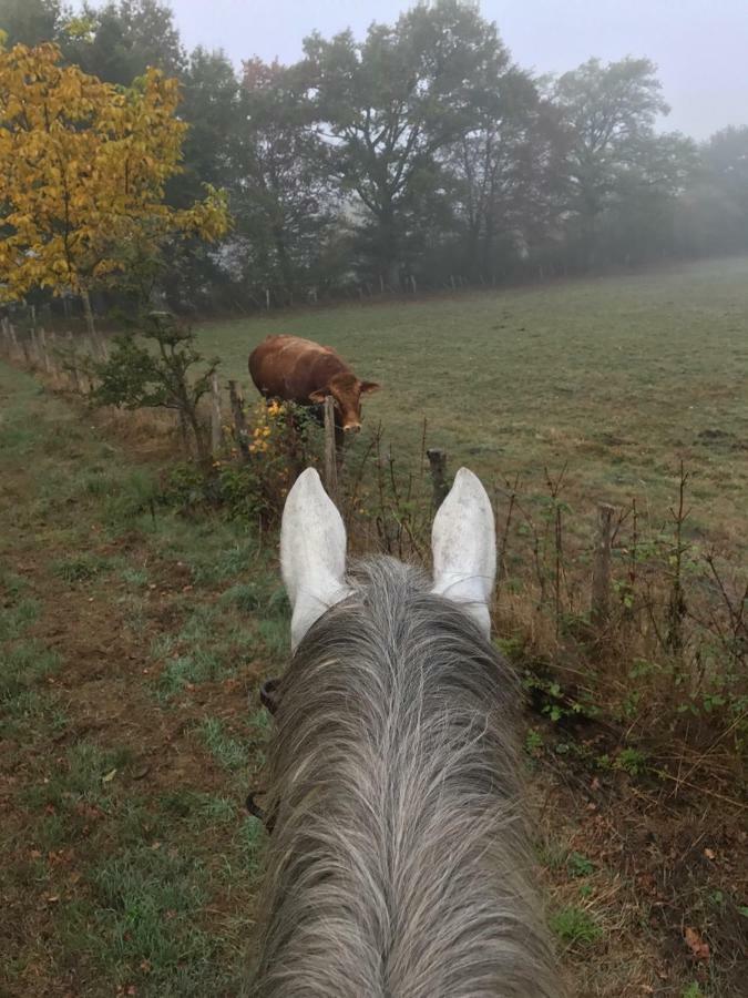 Ferme Gite Equestre En Charente Confolens Exteriér fotografie