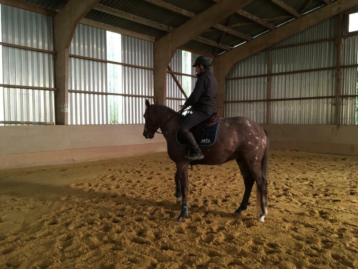 Ferme Gite Equestre En Charente Confolens Exteriér fotografie